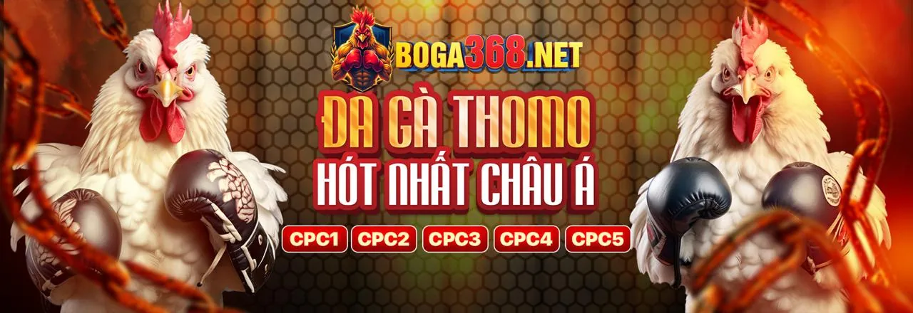 Sân đấu đá gà trực tuyến sôi động tại bet678 login